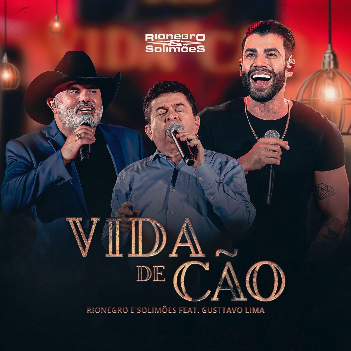 Peão Apaixonado — álbum de Rionegro & Solimões — Apple Music